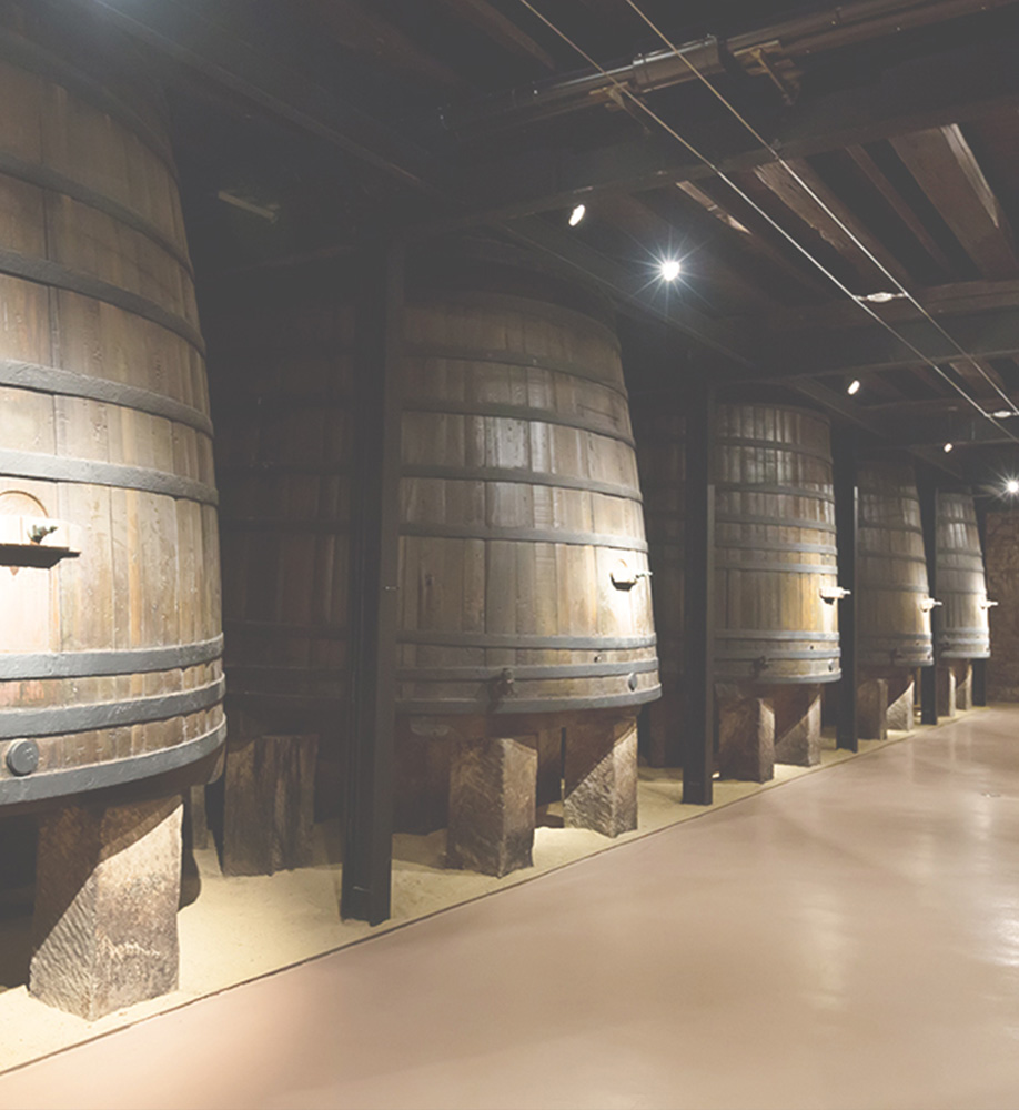 Pavimento industriale per cantina
